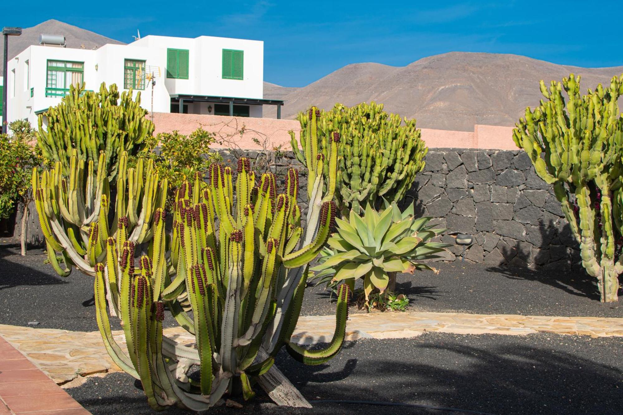 Villa Papagayo Lanzarote 普拉亚布兰卡 外观 照片